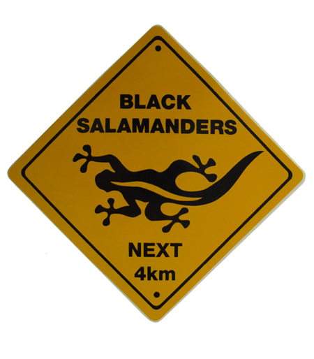 OZ155 L AMBER by Black Salamander