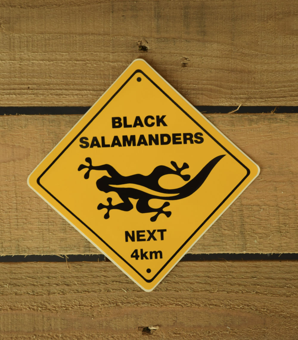 OZ120 M AMBER by Black Salamander